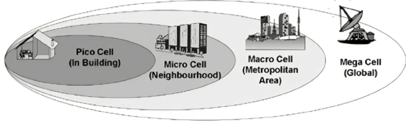 Different Types of Cells